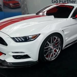 Meet your Posher, Monica